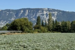 cherpines-autrement.ch-img-4830-img-4830