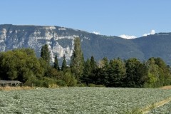 cherpines-autrement.ch-img-4832-img-4832