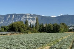 cherpines-autrement.ch-img-4833-img-4833