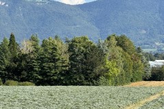 cherpines-autrement.ch-img-4834-img-4834