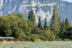 cherpines-autrement.ch-img-4835-img-4835