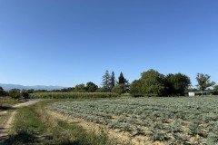 cherpines-autrement.ch-img-4837-img-4837