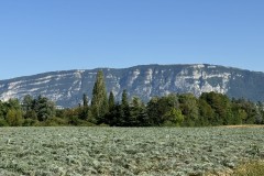 cherpines-autrement.ch-img-4841-img-4841