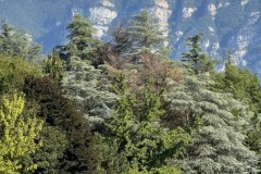 cherpines-autrement.ch-img-4861-img-4861