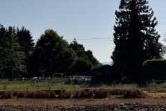 cherpines-autrement.ch-img-4866-img-4866