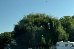 cherpines-autrement.ch-img-4867-img-4867