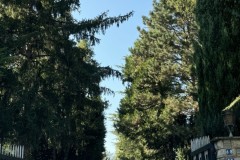 cherpines-autrement.ch-img-4868-img-4868