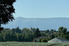 cherpines-autrement.ch-img-4875-img-4875