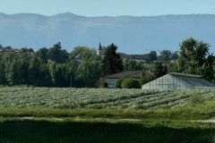 cherpines-autrement.ch-img-4876-img-4876