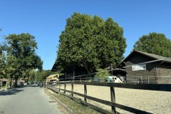 cherpines-autrement.ch-img-4882-img-4882