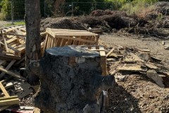 cherpines-autrement.ch-img-4896-img-4896