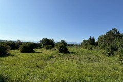 cherpines-autrement.ch-img-4900-img-4900