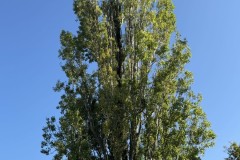 cherpines-autrement.ch-img-4902-img-4902