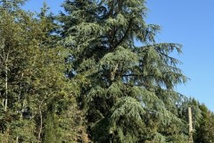 cherpines-autrement.ch-img-4905-img-4905