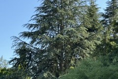 cherpines-autrement.ch-img-4912-img-4912