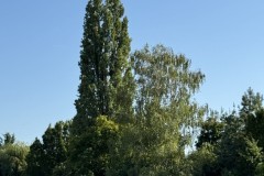 cherpines-autrement.ch-img-4915-img-4915