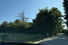 cherpines-autrement.ch-img-4918-img-4918