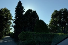 cherpines-autrement.ch-img-4919-img-4919