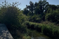 cherpines-autrement.ch-img-4922-img-4922