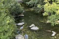 cherpines-autrement.ch-img-4930-img-4930