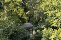 cherpines-autrement.ch-img-4932-img-4932