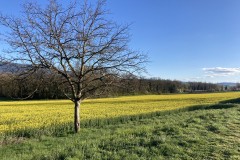 cherpines-autrement.ch-mai-2022-valllon-de-laire3