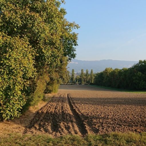 Automne 2018 le vallon terres agricoles