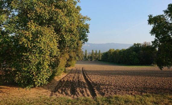 Automne 2018 le vallon terres agricoles