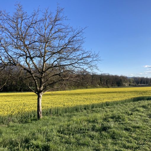 Mai 2022 valllon de l'Aire3