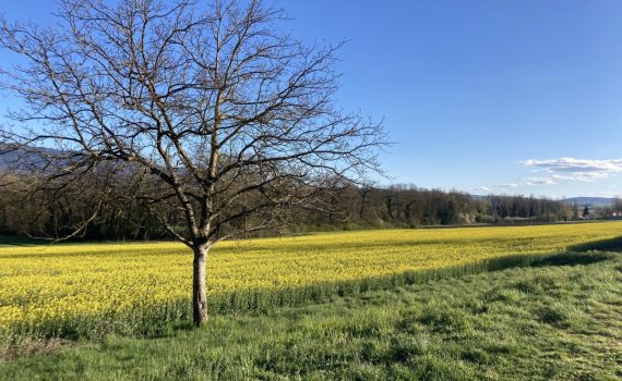 Mai 2022 valllon de l'Aire3